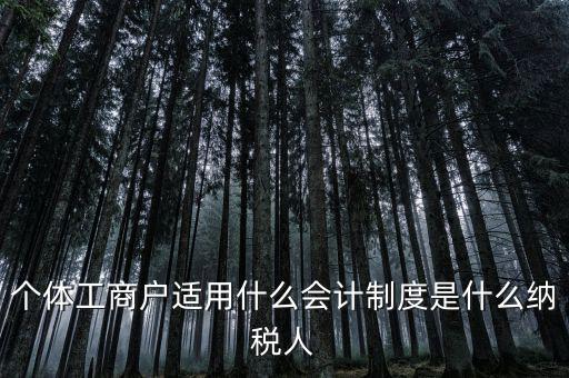 個體戶屬于什么納稅人，從事縫紉業(yè)務(wù)的個體戶屬于哪一類納稅人