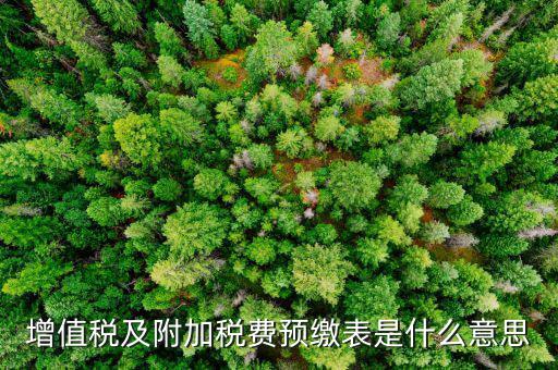 增值稅預(yù)繳稅款表是什么，增值稅及附加稅費(fèi)預(yù)繳表是什么意思