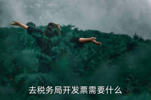 常州國稅認證發(fā)票需要帶什么手續(xù)，去國稅認證發(fā)票需要帶什么資料