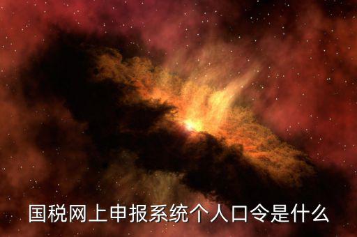 國稅證書口令是什么意思，網(wǎng)上申報(bào)國稅系統(tǒng)登陸的口令是什么