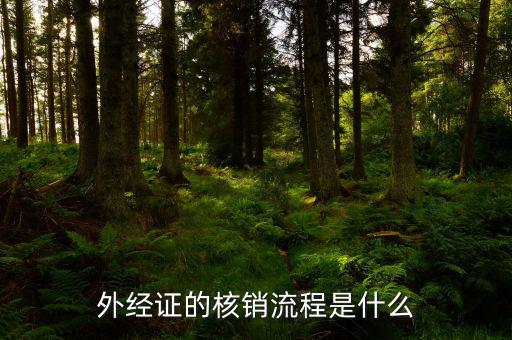核銷的外經(jīng)證是什么樣，外經(jīng)證核銷是什么意思