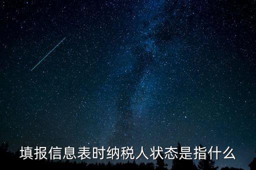 納稅人狀態(tài)03是什么意思，填報(bào)信息表時(shí)納稅人狀態(tài)是指什么