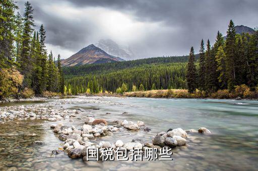 什么屬于國(guó)稅，什么樣的經(jīng)營(yíng)范圍屬于國(guó)稅