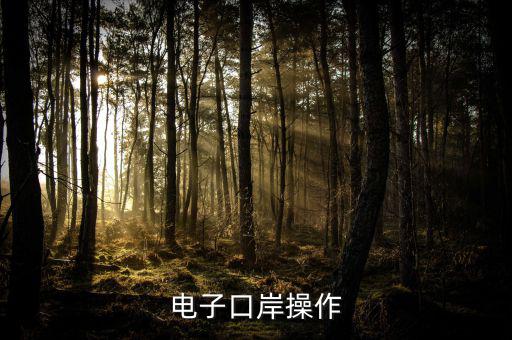 電子口岸里面要操作什么，電子口岸操作
