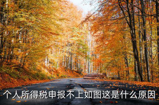 個稅申報失敗為什么，8月份個稅申報反饋時申報失敗怎么回事問專管員說已經(jīng)申報了但