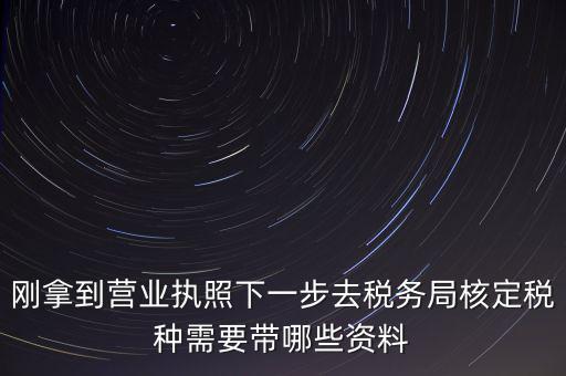 湖北國(guó)稅增加稅種需要帶什么資料，企業(yè)報(bào)稅種需要帶什么資料