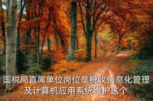 稅收信息化崗位做什么，信息化在稅務(wù)管理中有什么作用