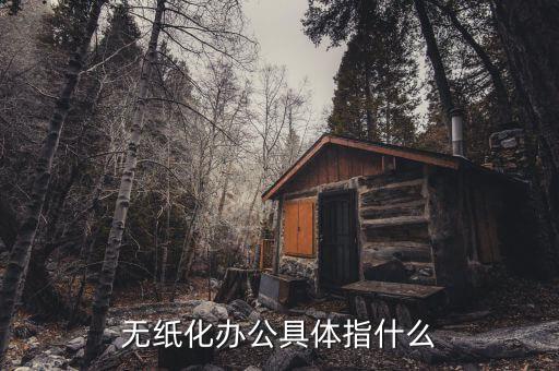 國稅無紙化辦公是什么意思，無紙化辦公具體指什么