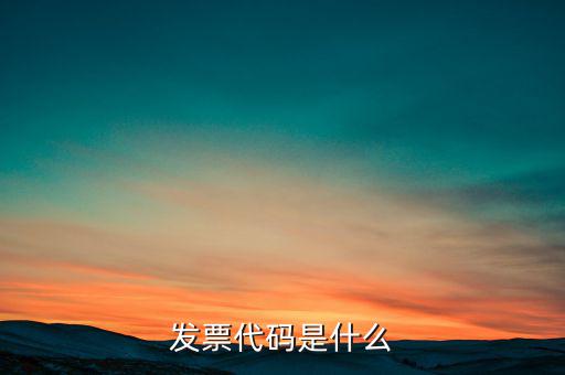 開(kāi)發(fā)票六位代碼是什么，增值稅專(zhuān)用發(fā)票6位開(kāi)票代碼是什么意思
