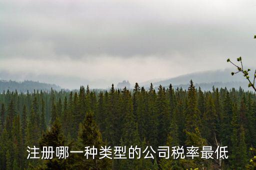 蘇州開(kāi)什么樣的公司稅率最低，注冊(cè)什么類型的公司交稅最少