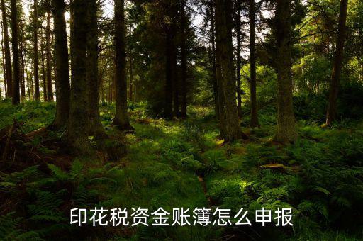賬簿印花稅申報選什么，賬簿印花稅如何申報