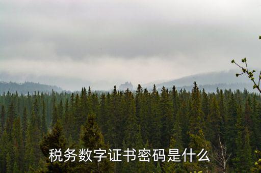 稅務(wù)數(shù)字證書(shū)密碼是什么