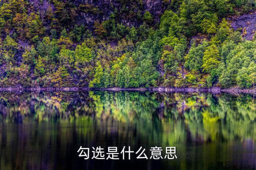 發(fā)票勾選是什么意思，勾選是什么意思