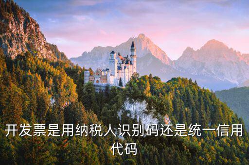 發(fā)票上的信用代碼是什么，現(xiàn)在開發(fā)票要的社會(huì)信用代碼是誰的代碼
