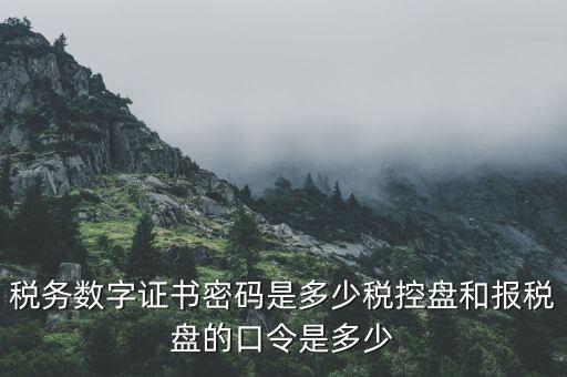 國稅申報ca默認密碼是什么意思，國家稅務(wù)總局網(wǎng)上辦稅服務(wù)廳初始密碼是什么