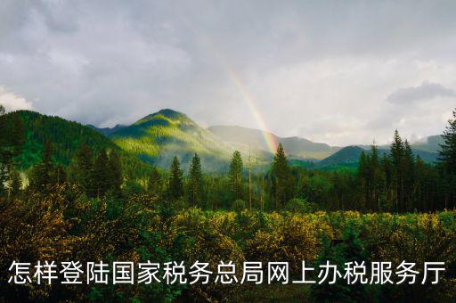 稅務(wù)局登錄什么瀏覽器可以，怎樣登陸國(guó)家稅務(wù)總局網(wǎng)上辦稅服務(wù)廳