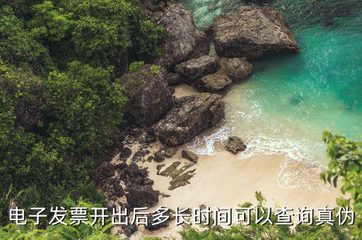 移動(dòng)電子發(fā)票什么時(shí)候能查詢(xún)，電子發(fā)票開(kāi)出后多長(zhǎng)時(shí)間可以查詢(xún)真?zhèn)?/></a></span><span id=