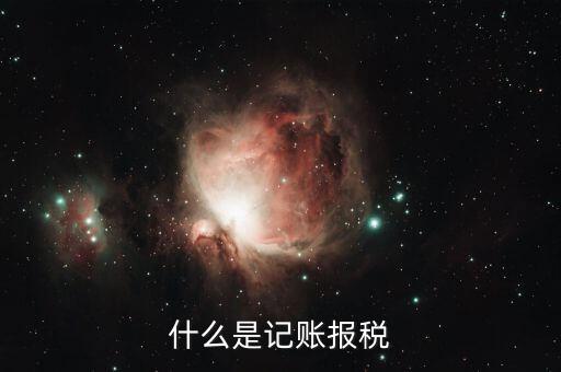 報(bào)稅記錄是指什么，報(bào)稅是什么意思 報(bào)稅的含義