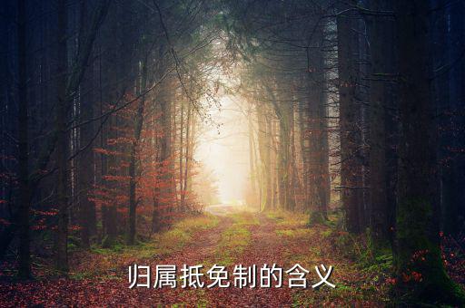 為什么要制定實(shí)施稅收抵免制度，歸屬抵免制的含義