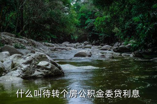 什么是委貸利息，委托貸款利息計(jì)算