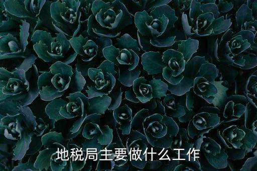 地稅局主要管什么的，地稅局工作的主要內容