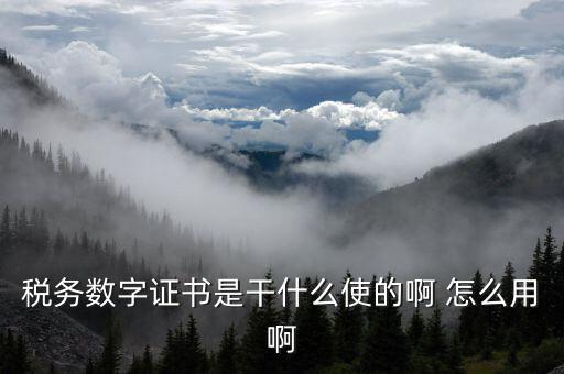 安徽國(guó)稅局?jǐn)?shù)字證書(shū)是什么意思，稅務(wù)數(shù)字證書(shū)是干什么使的啊 怎么用啊