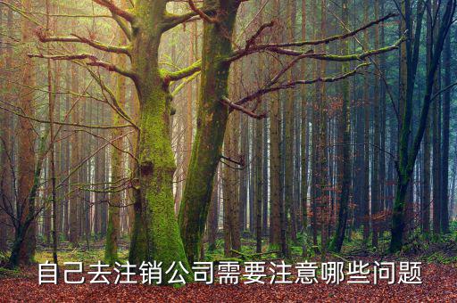 企業(yè)注銷需要注意什么，公司撤銷與注銷有哪些注意事項