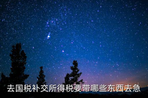 去國稅補繳增值稅要帶什么，增值稅零申報逾期申報了48天 到國稅補申報需要準備什么資料 帶什么