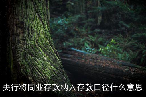 業(yè)務(wù)口徑是什么意思，銀行說的十四行口徑是什么意思