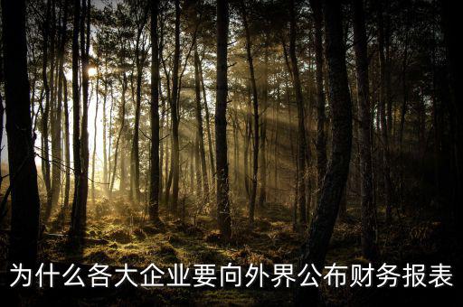 為什么要報送財務報表，為什么要編財務報表