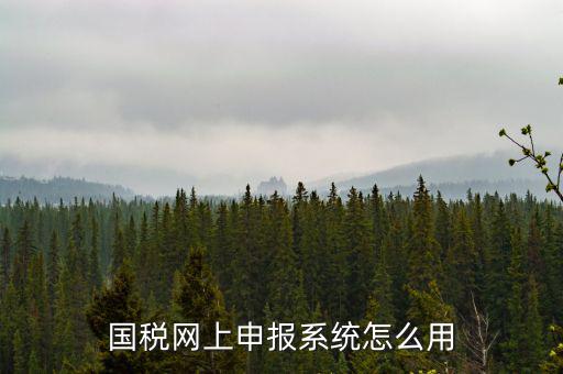 國稅網(wǎng)絡預申請系統(tǒng)是什么，怎么安裝國稅網(wǎng)上申報系統(tǒng)