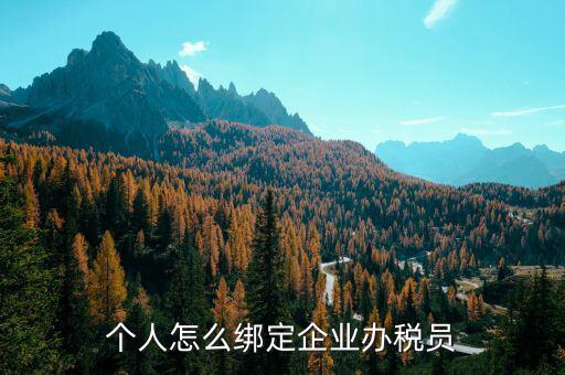 辦稅人員該綁定什么人，個人怎么綁定企業(yè)辦稅員