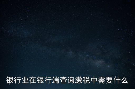 銀行業(yè)在銀行端查詢(xún)繳稅中需要什么