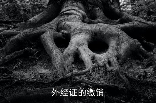 廈門(mén)繳銷(xiāo)外經(jīng)證國(guó)稅什么資料，廈門(mén)國(guó)稅需銷(xiāo)項(xiàng)合同是什么