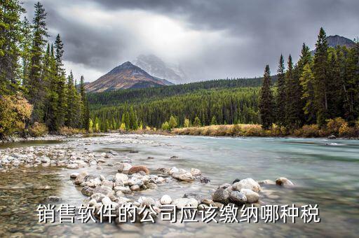 軟件營銷應(yīng)該上什么稅，銷售軟件交什么稅