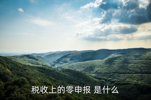 什么叫免于零申報(bào)，小規(guī)模納稅人 要增值稅納稅申報(bào) 但是每次都為零申報(bào)