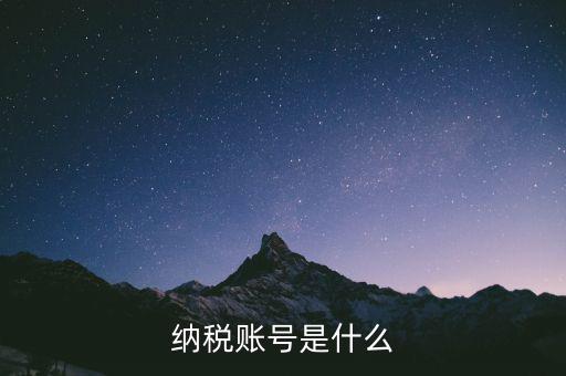 河北地稅賬號是什么意思，稅務賬號是什么