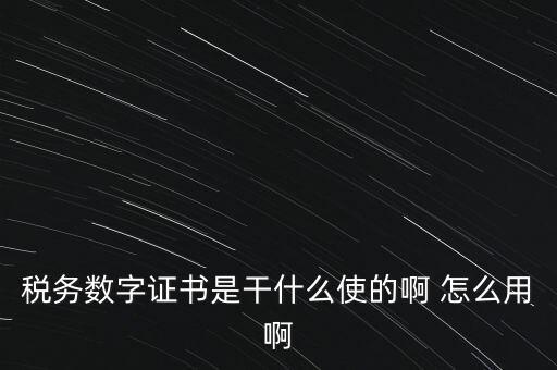 國(guó)稅ca數(shù)字證書(shū)是什么，稅務(wù)數(shù)字證書(shū)是干什么使的啊 怎么用啊