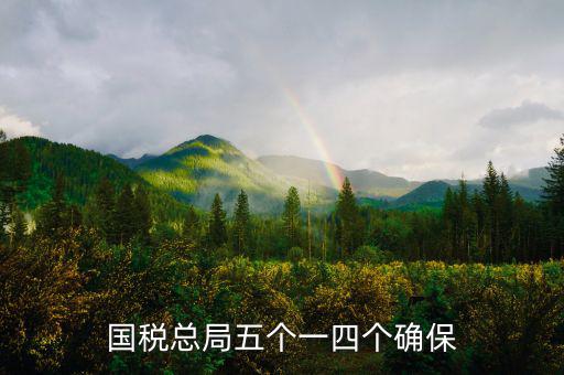 稅務(wù)局五個一是什么意思，國稅總局五個一四個確保