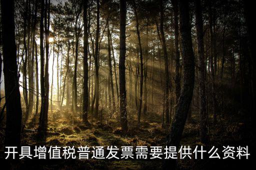 開(kāi)增值稅提供什么資料，開(kāi)具增值稅普通發(fā)票需要提供什么資料