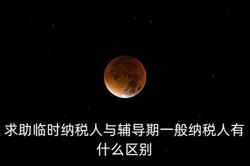 什么是臨時納稅人，臨時一般納稅人是什么意思