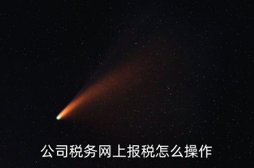 企業(yè)報稅登什么網(wǎng)站，企業(yè)稅務申報去哪個網(wǎng)站