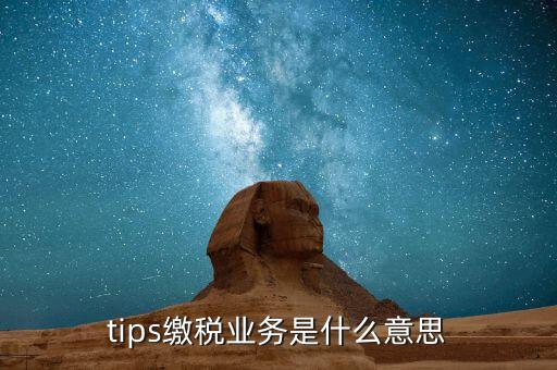 地稅tips繳款是什么意思，tips扣稅是什么意思