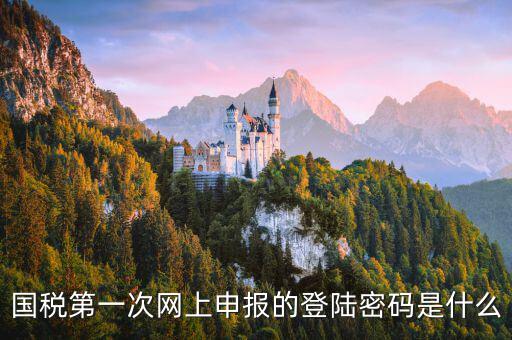 國稅網(wǎng)報口令是什么，國稅第一次網(wǎng)上申報的登陸密碼是什么