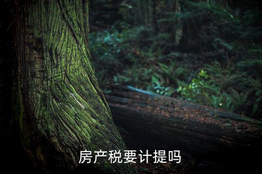 房產稅列入什么費用，房產稅要計提嗎