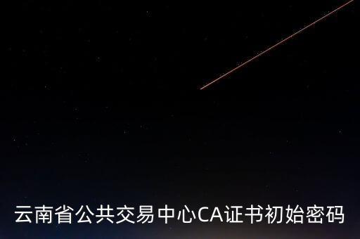 ca原始密碼登錄是什么，蘇州投標(biāo)ca初始密碼