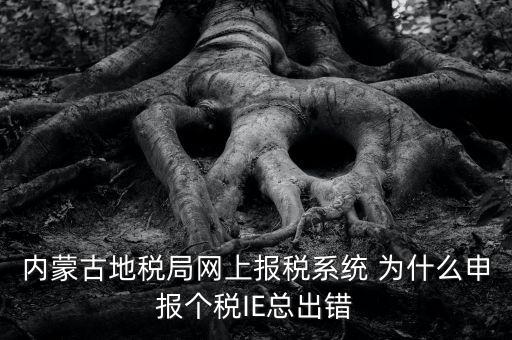 為什么內(nèi)蒙古國(guó)地稅網(wǎng)進(jìn)不去，windows7內(nèi)蒙古地稅報(bào)稅系統(tǒng)顯示無(wú)法顯示該網(wǎng)頁(yè)