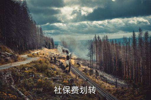 社保費(fèi)征管職責(zé)劃轉(zhuǎn)移交些什么，2020年新疆社會(huì)保險(xiǎn)費(fèi)征管職責(zé)劃轉(zhuǎn)包包括哪些內(nèi)容