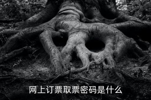網(wǎng)絡(luò)發(fā)票密碼是什么，發(fā)票上密碼有什么用