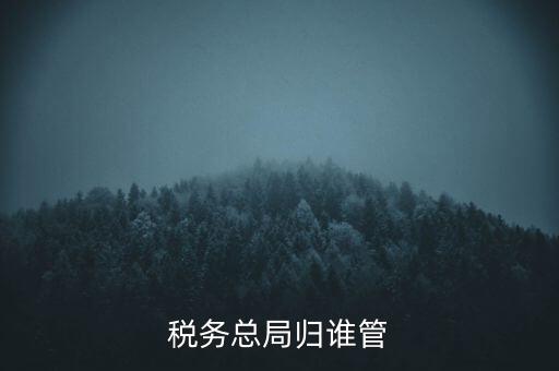 什么部門(mén)監(jiān)管?chē)?guó)稅務(wù)局，稅務(wù)局最怕什么部門(mén)